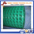 Professional Manufacture for PVC Coated Welded Wire Mesh in Rolls (YB-13)